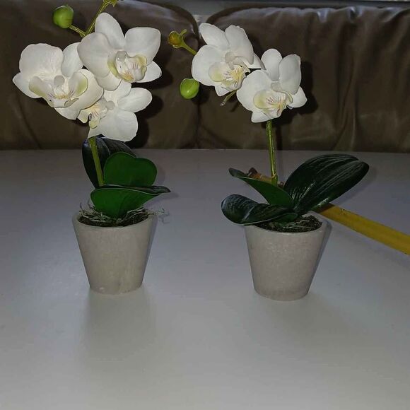 Set of 2 Faux White Orchid Plants – Decorative Floral Arrangements - Picture 1 of 6